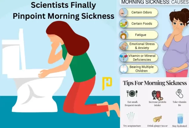 Scientists Finally Pinpoint Morning Sickness