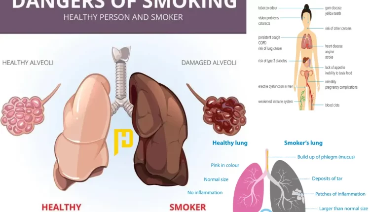 Smoking Damages Lungs And Brain Guideline